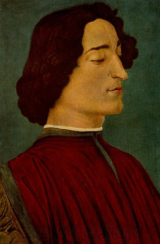 BOTTICELLI, Sandro Giuliano de Medici France oil painting art
